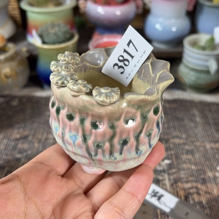 口5 未满30运费到付