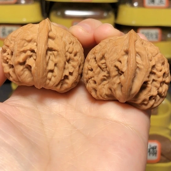 精品野生霸王筋全品