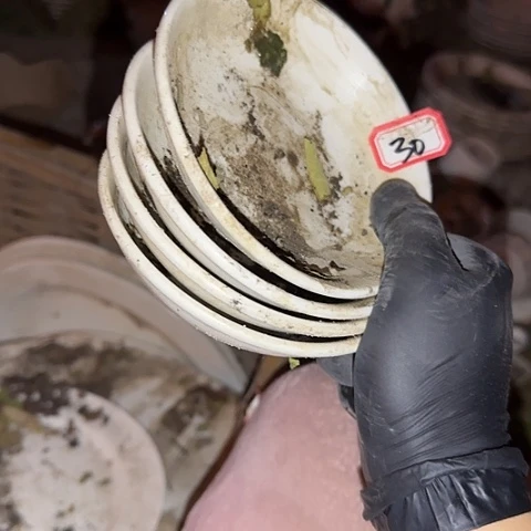 瓷片国营厂12厘米30