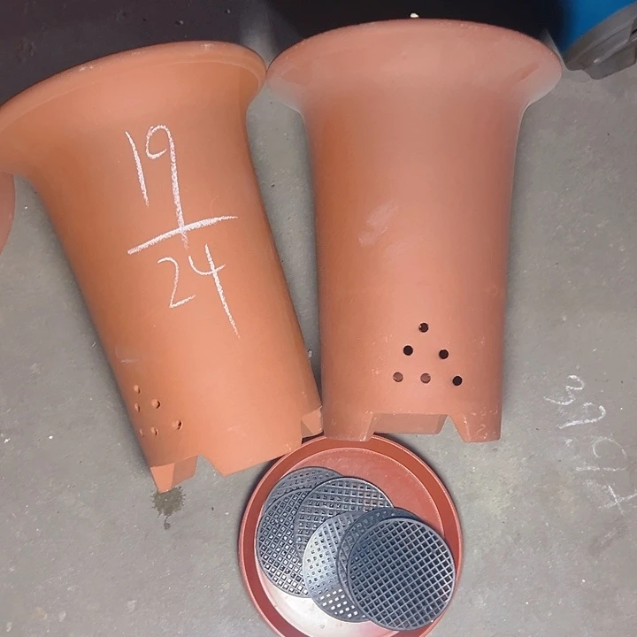 周深周深周深周深