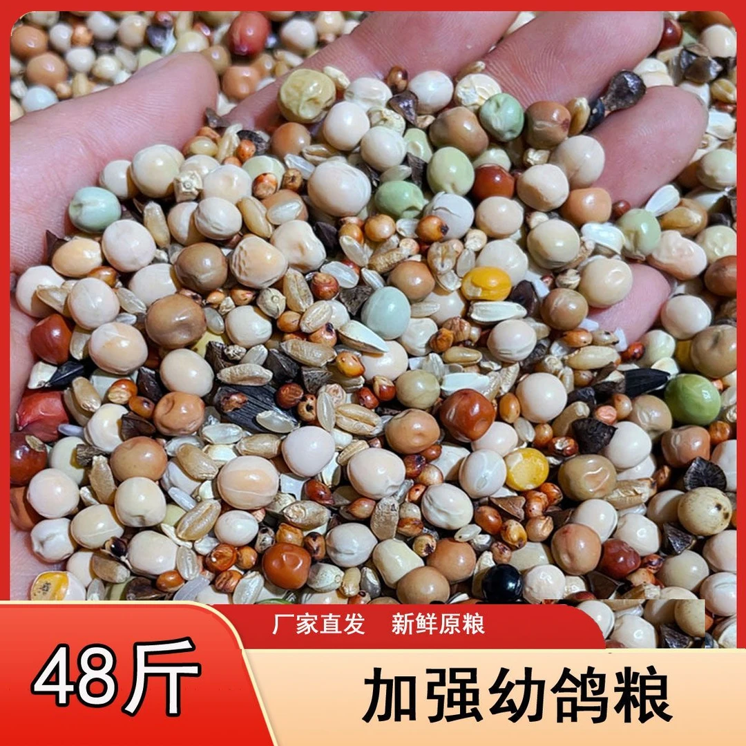 无小麦蛋白精品幼鸽A级种鸽粮直播专属