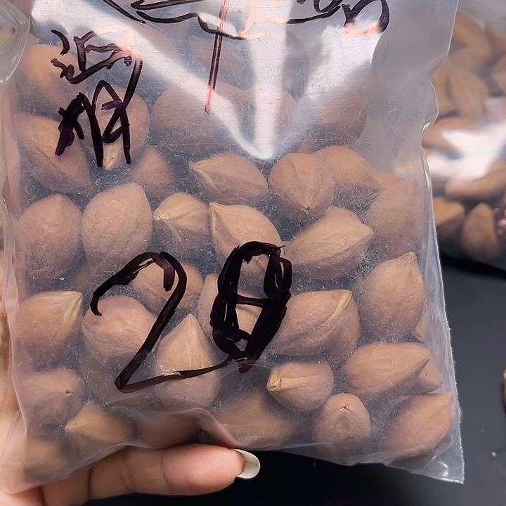 天***杂手串/手链橄榄核1111