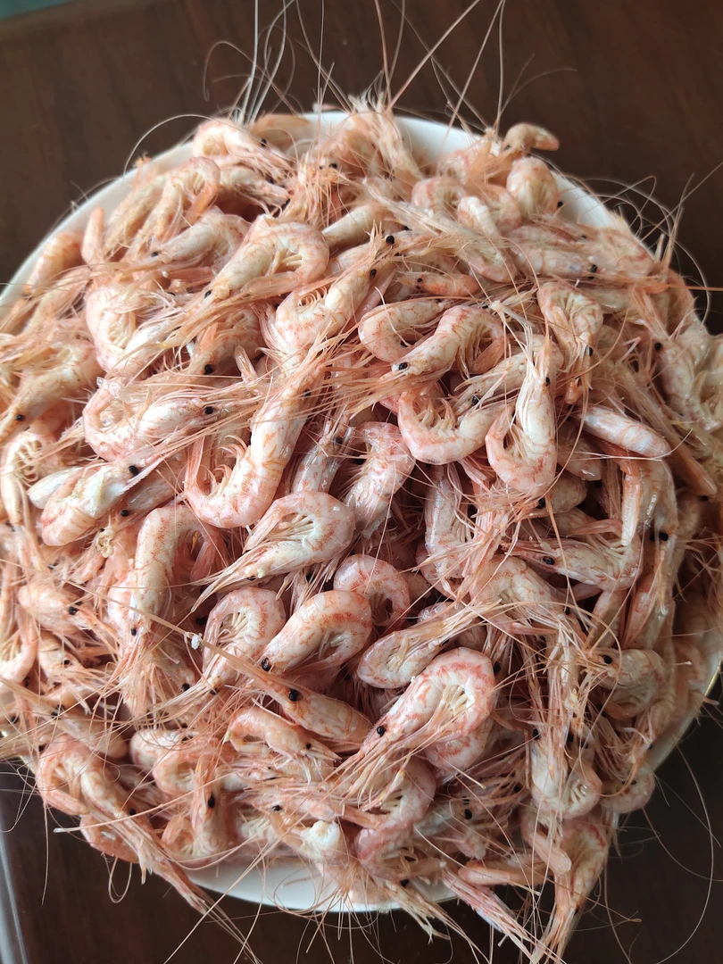 渤海湾 熟 小海虾