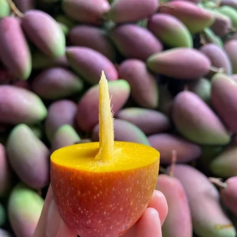 广西百色贵妃芒果新鲜采摘应季水果