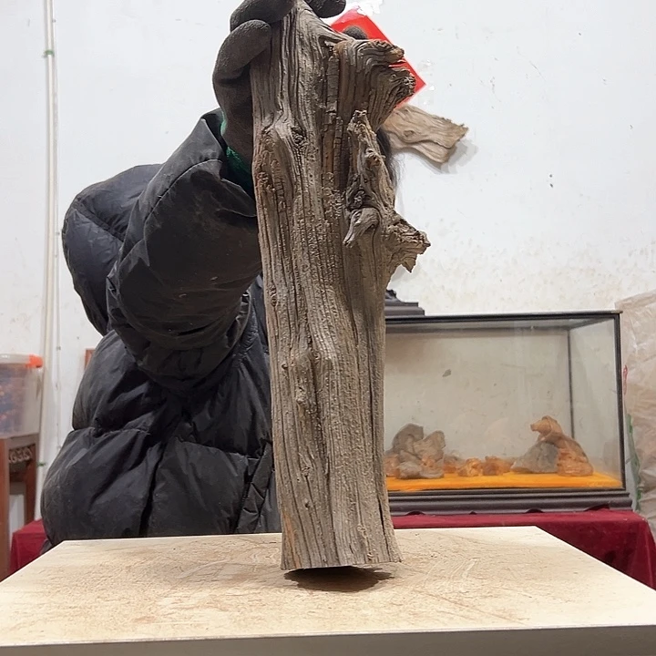 柏木翱**天我们都是好孩子呀