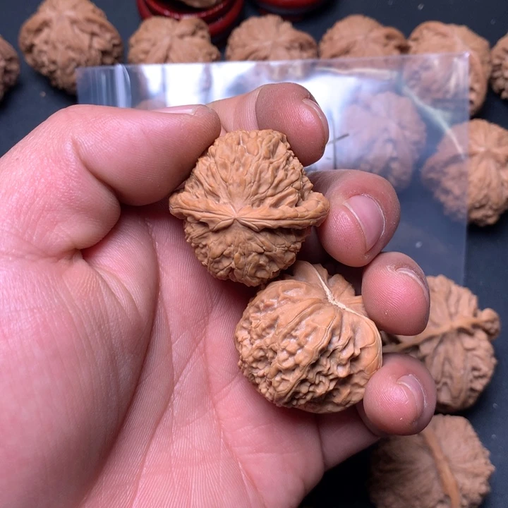 把件文玩核桃35白狮子76