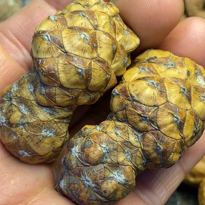 文玩核桃吊坠马车71