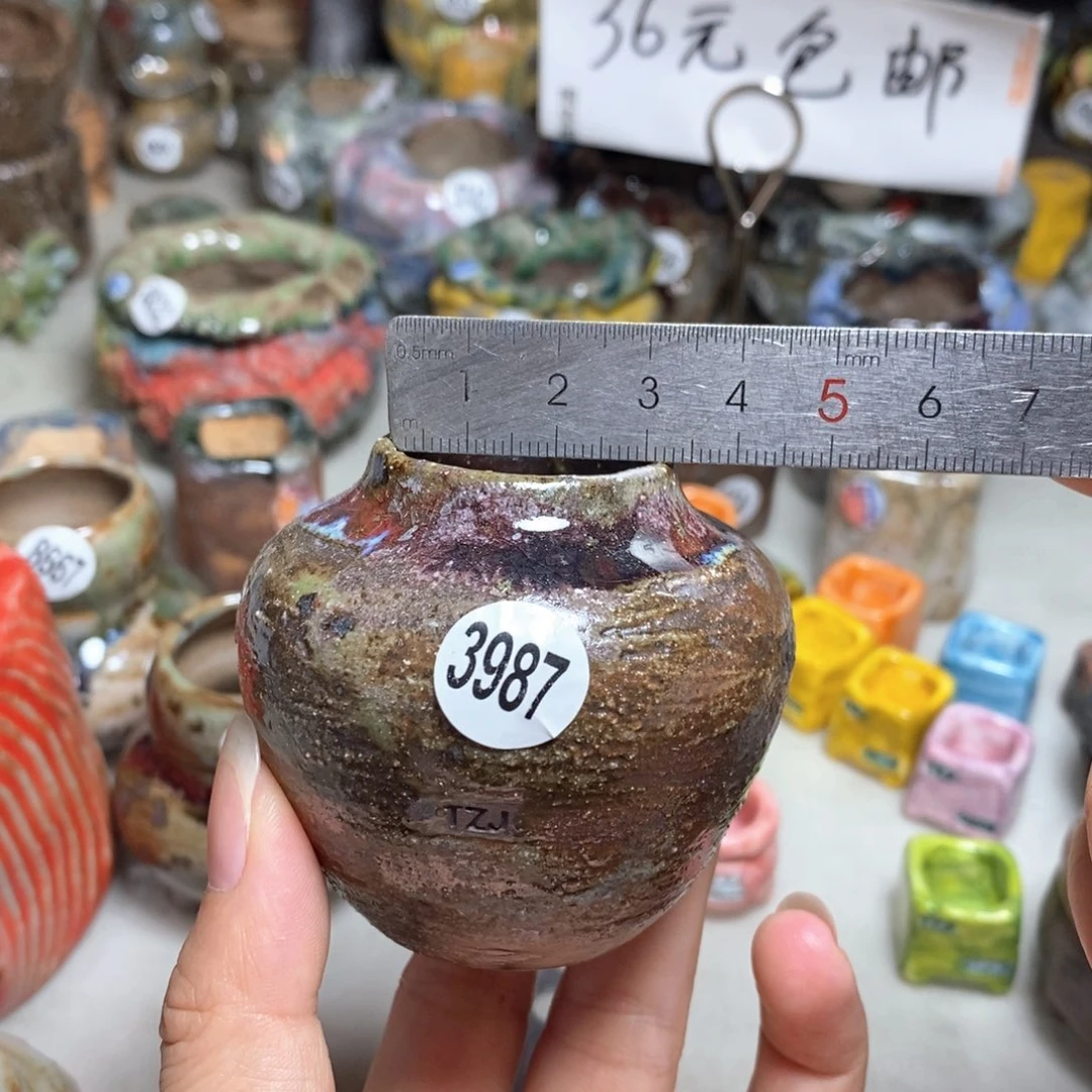 拍5送一个小礼物