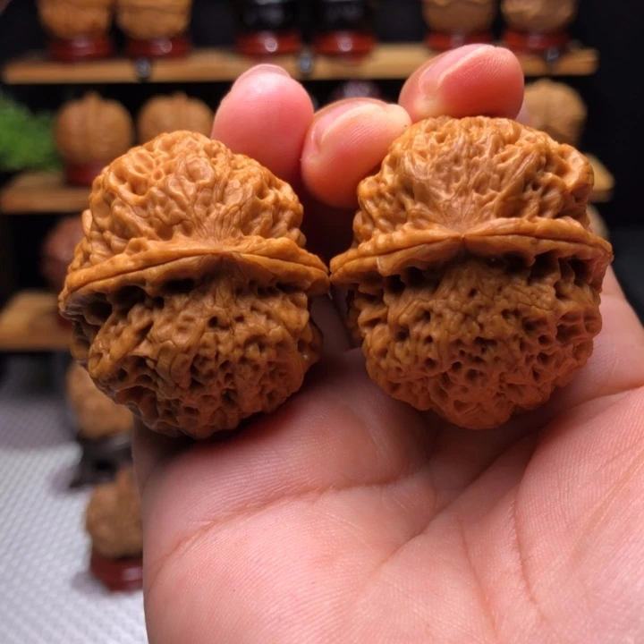 【闪购商品】七星绣球4