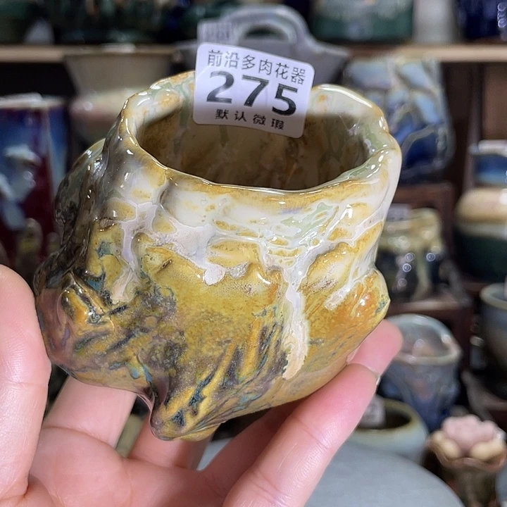 狼盆内口径5高度7