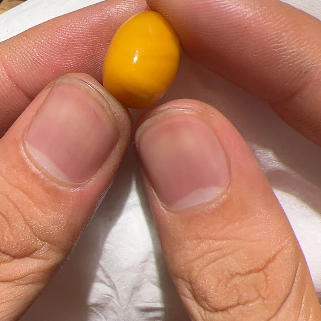 颈饰玻璃你在一起的