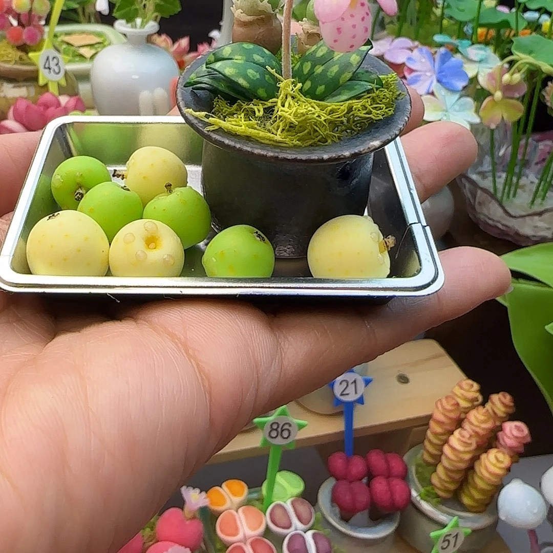 树脂粘土仿真多肉