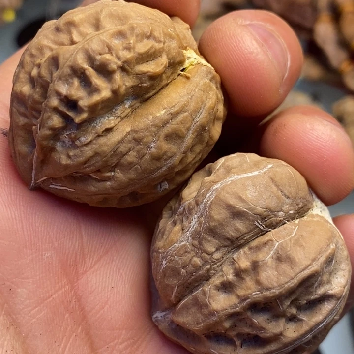 文玩核桃吊坠拿姐工艺104