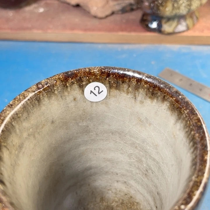 茶宠盏盏灯都是我喜欢的