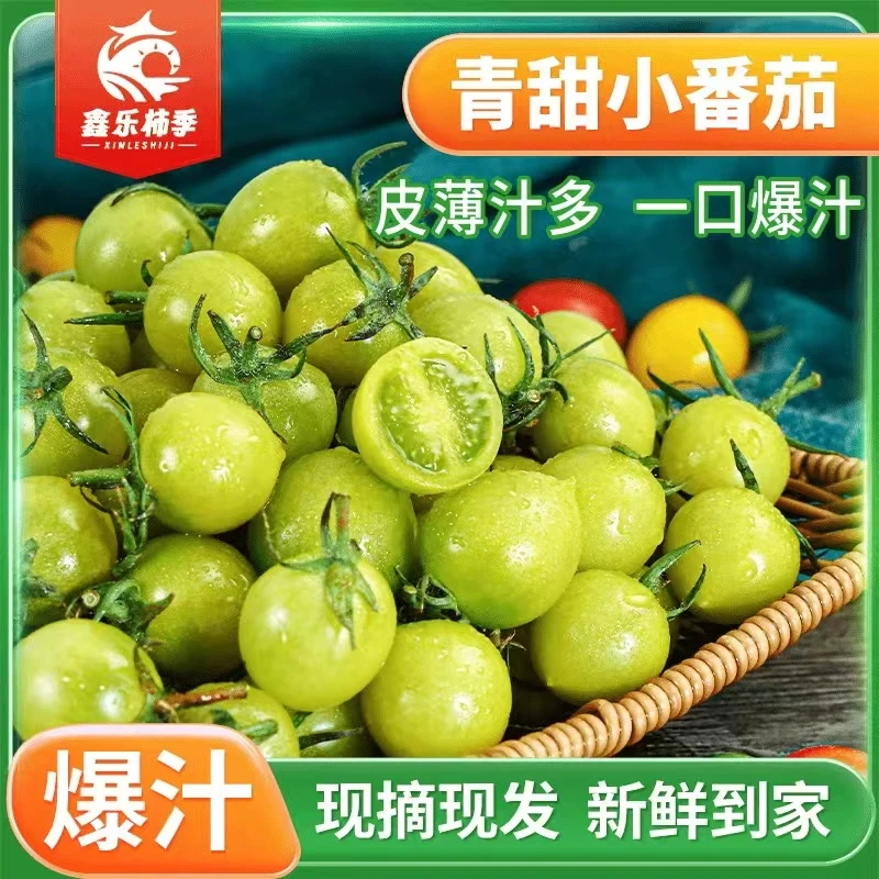 【顺丰包邮】山东寿光青甜2号小番茄皮薄多汁
