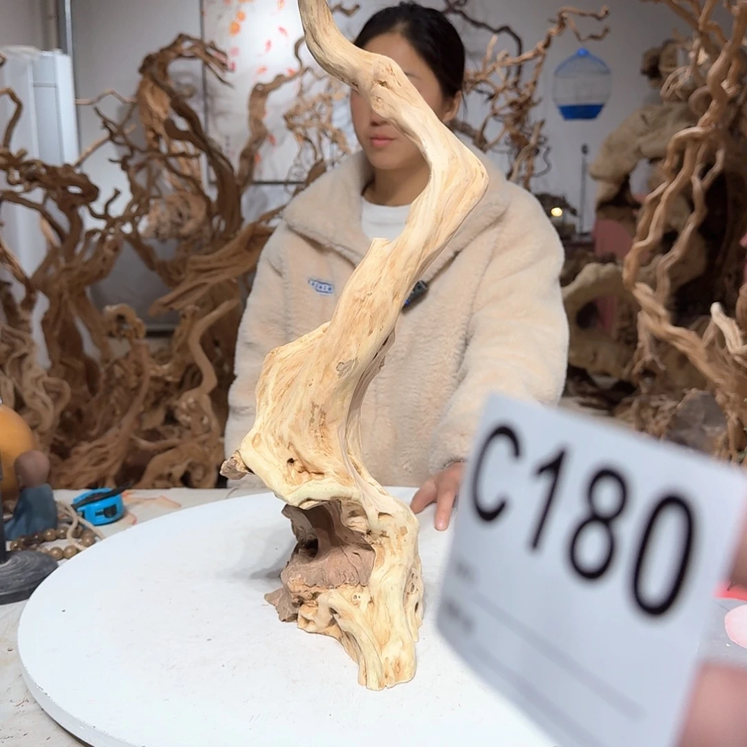 风车木（黑檀木）欧*达