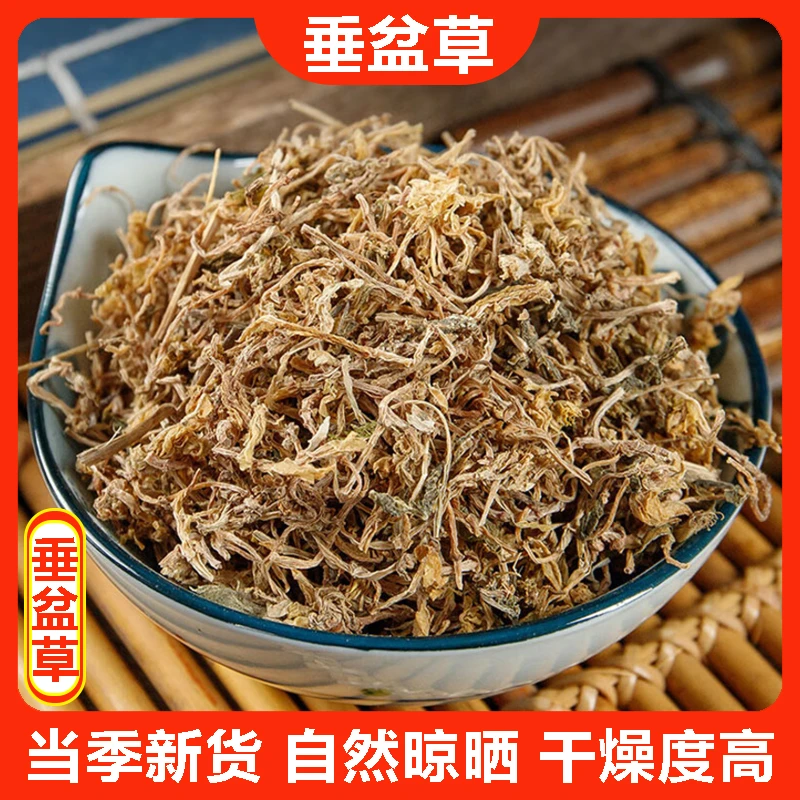 老胡同【垂盆草】石头菜狗牙瓣豆瓣菜200克/400克