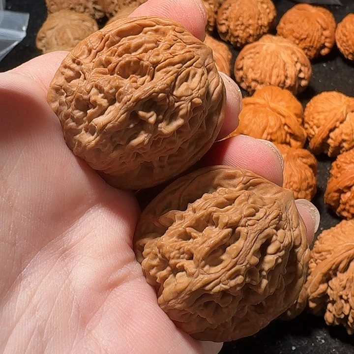 福利，麦穗虎头，加关注。