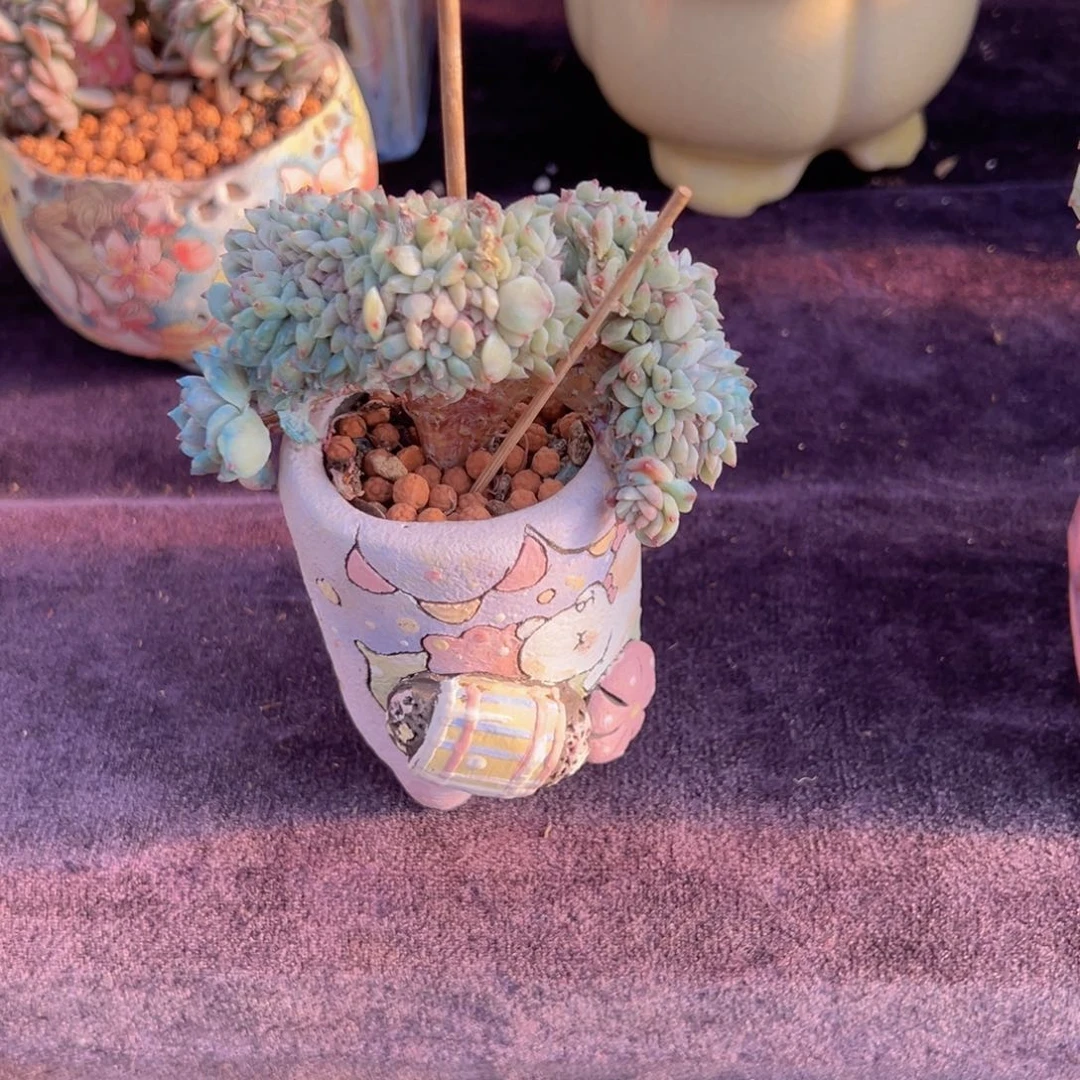 T****u新年快乐啊宝儿88888888