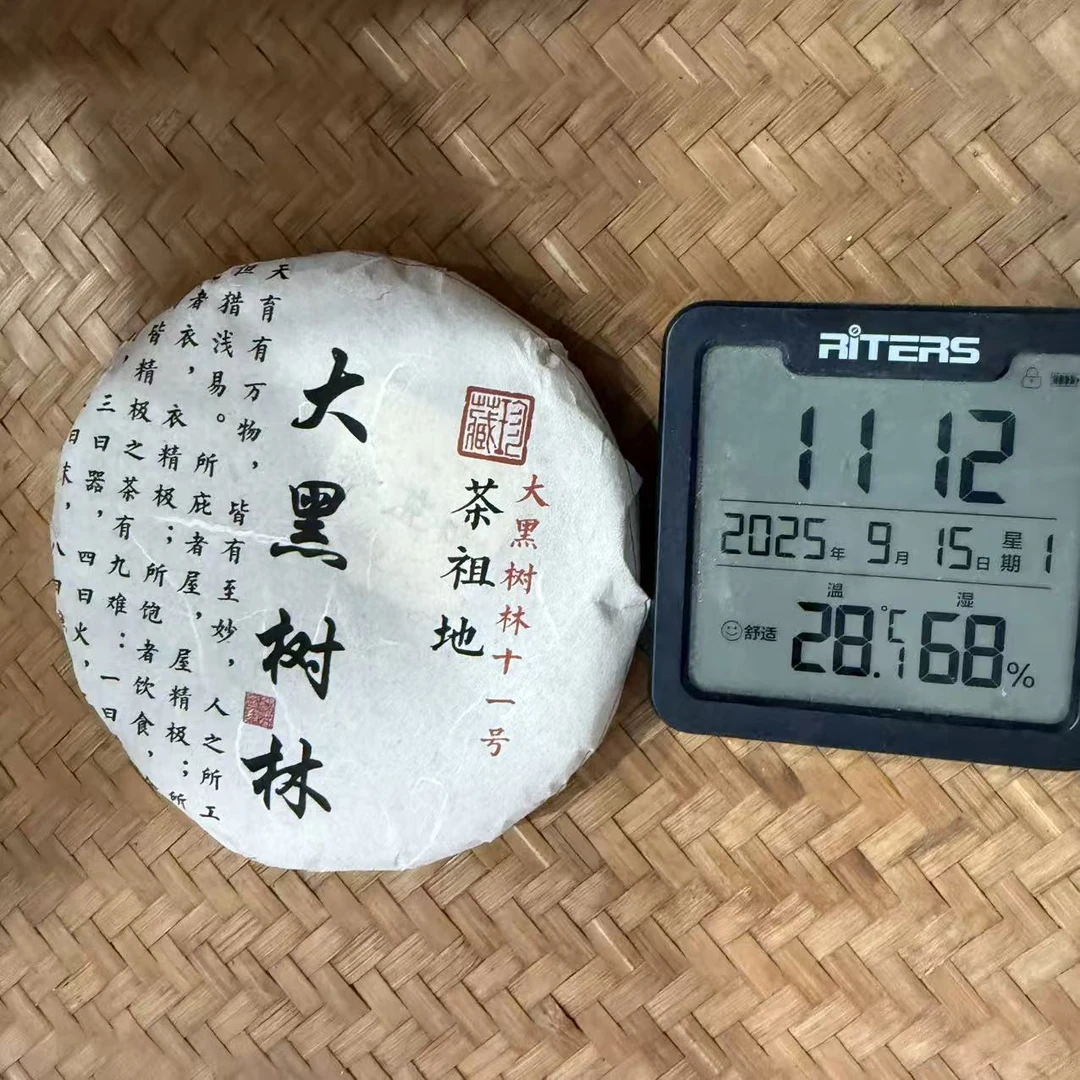 2024年大黑树林茶祖地普洱生茶饼200克FN10号9月15日