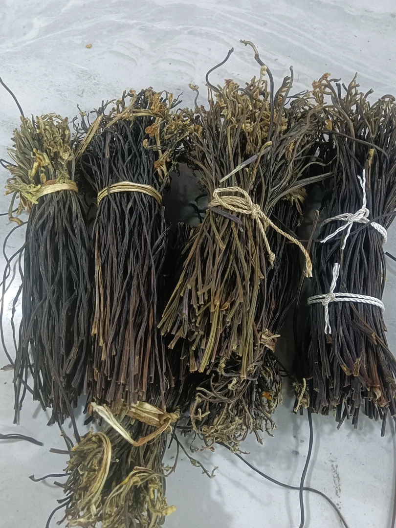 野生蕨菜干货农家自制干菜鲜嫩龙爪菜山野蕨苔野菜