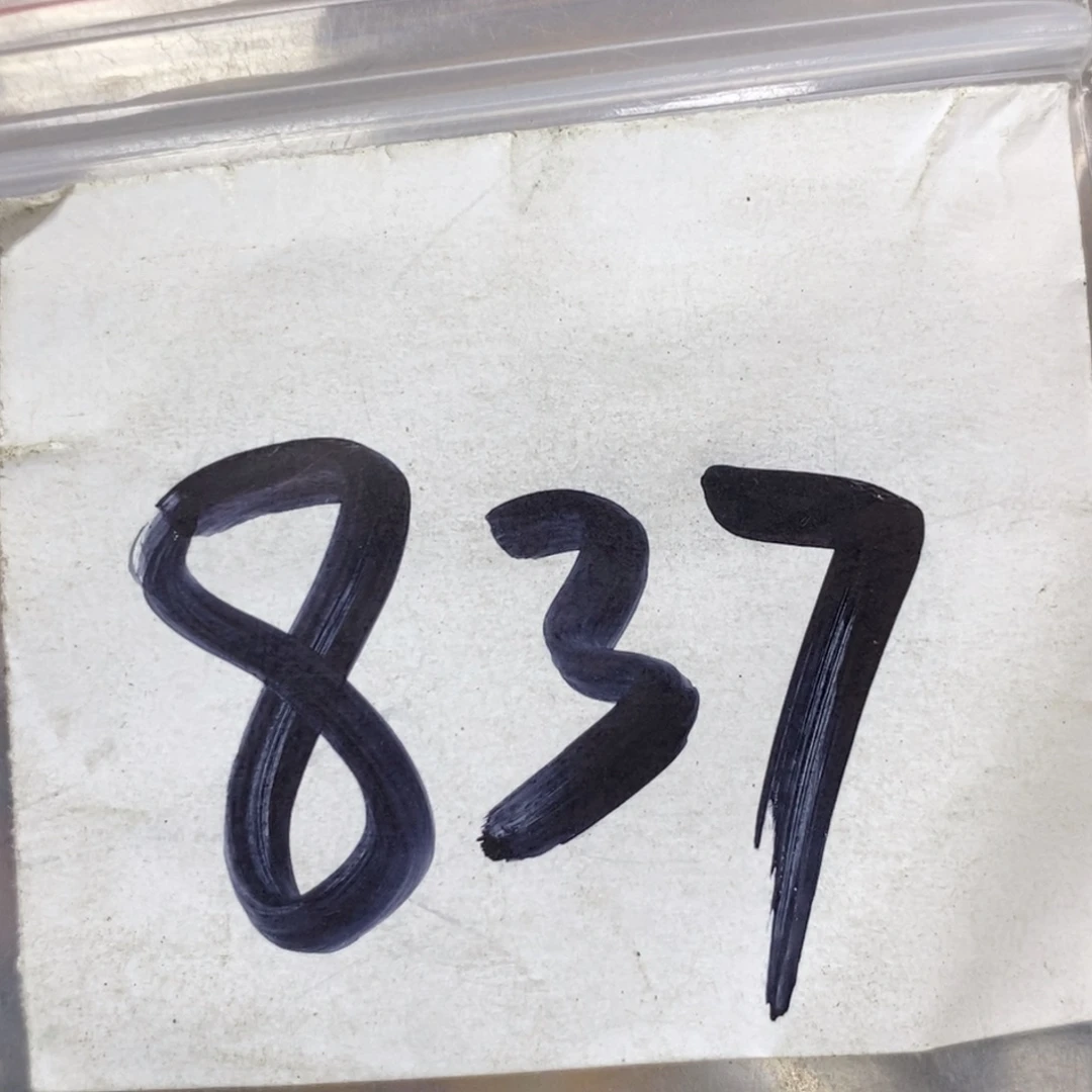 用***3吊坠龙脊菩提德宝文玩直播间专属链接