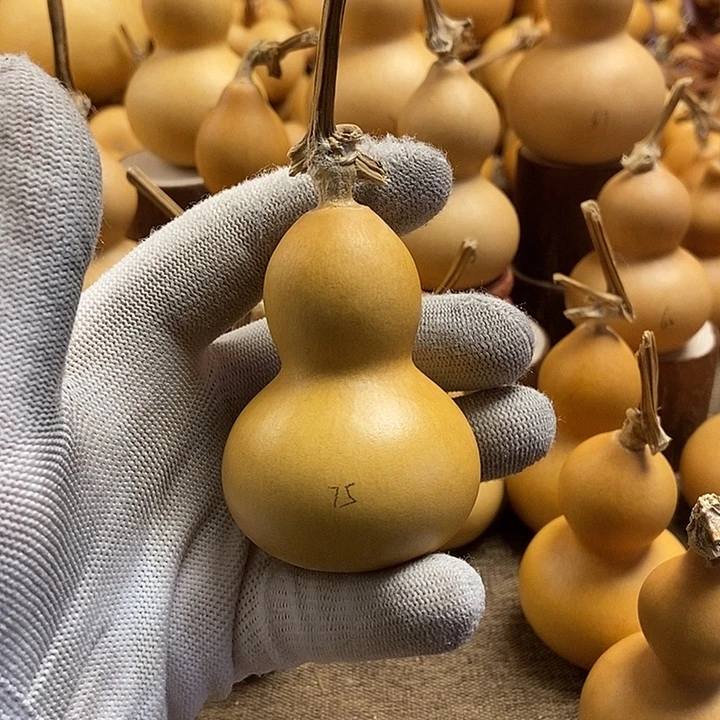 文玩葫芦 完美主义者 慎拍75