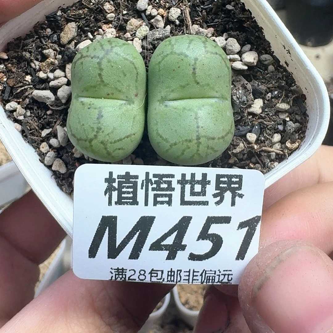 的润泽的人生地方fv