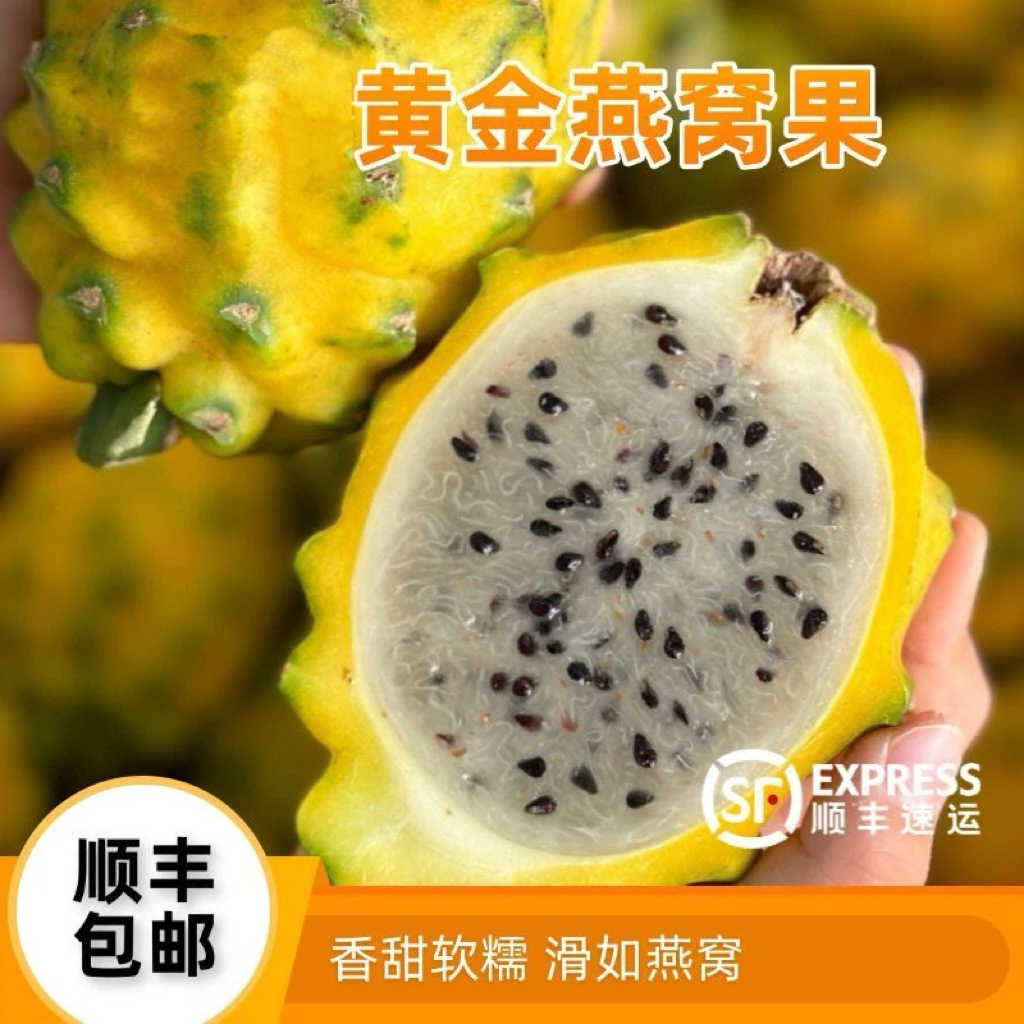 顺丰包邮燕窝果新鲜麒麟果小中大果发货