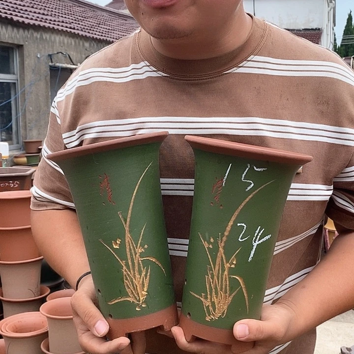 紫砂花盆盆栽植物