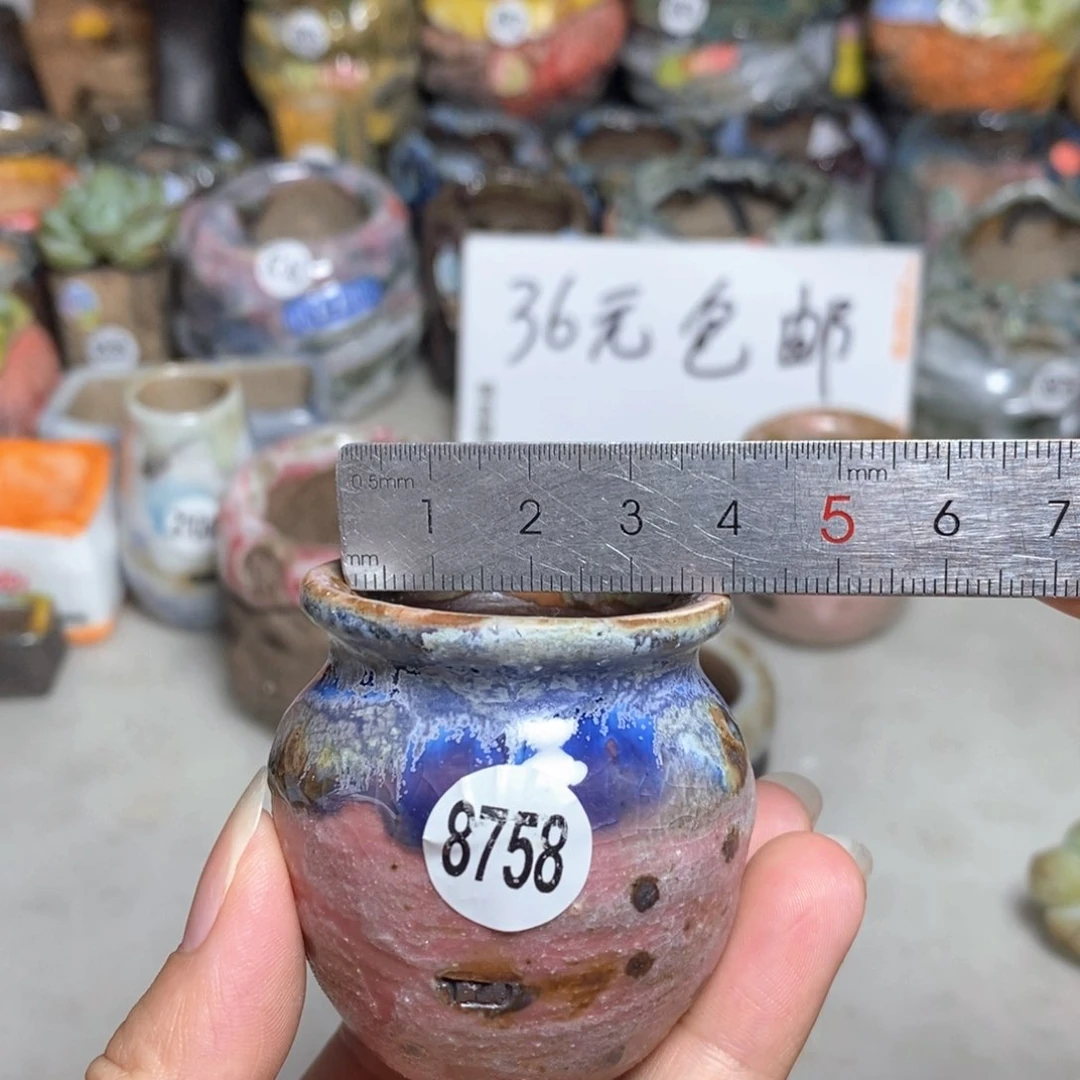 拍5送一个小礼物