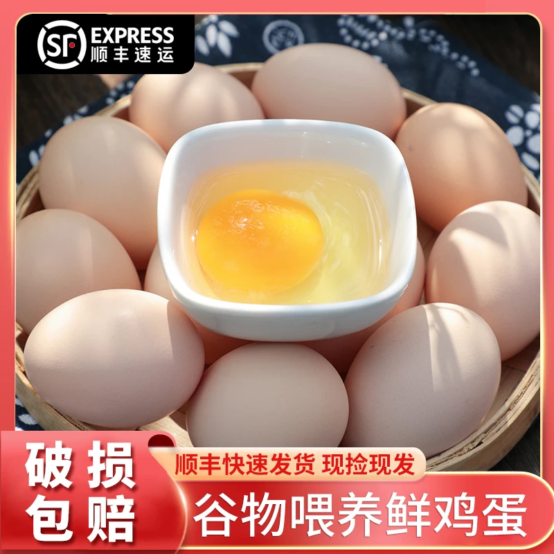 顺丰快递[破损包赔]农家散养新鲜土鸡蛋10枚现捡现发坏蛋包赔