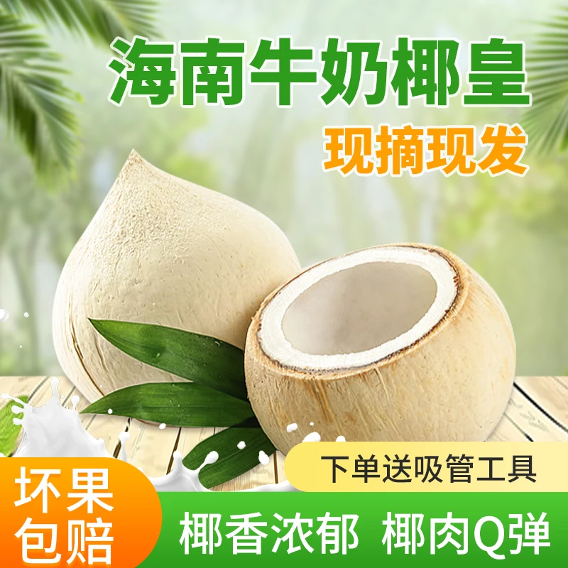 正宗海南牛奶椰皇新鲜椰子500g去皮现摘椰青椰白孕妇椰香浓郁椰