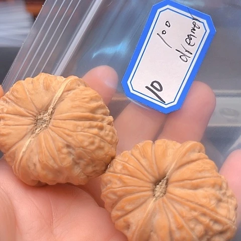 文玩核桃吊坠d****r南瓜