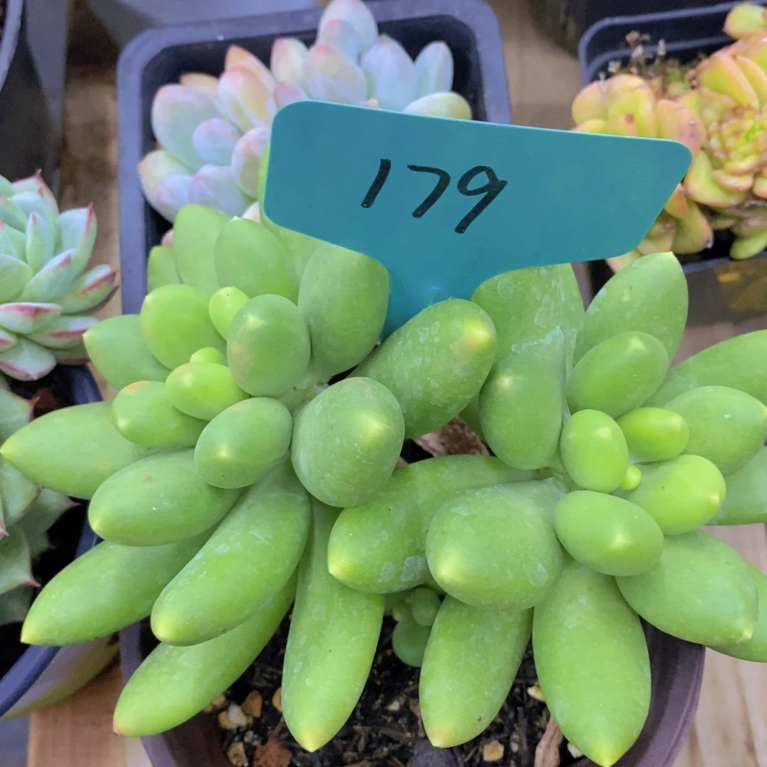 清货专场，仅限本场直播