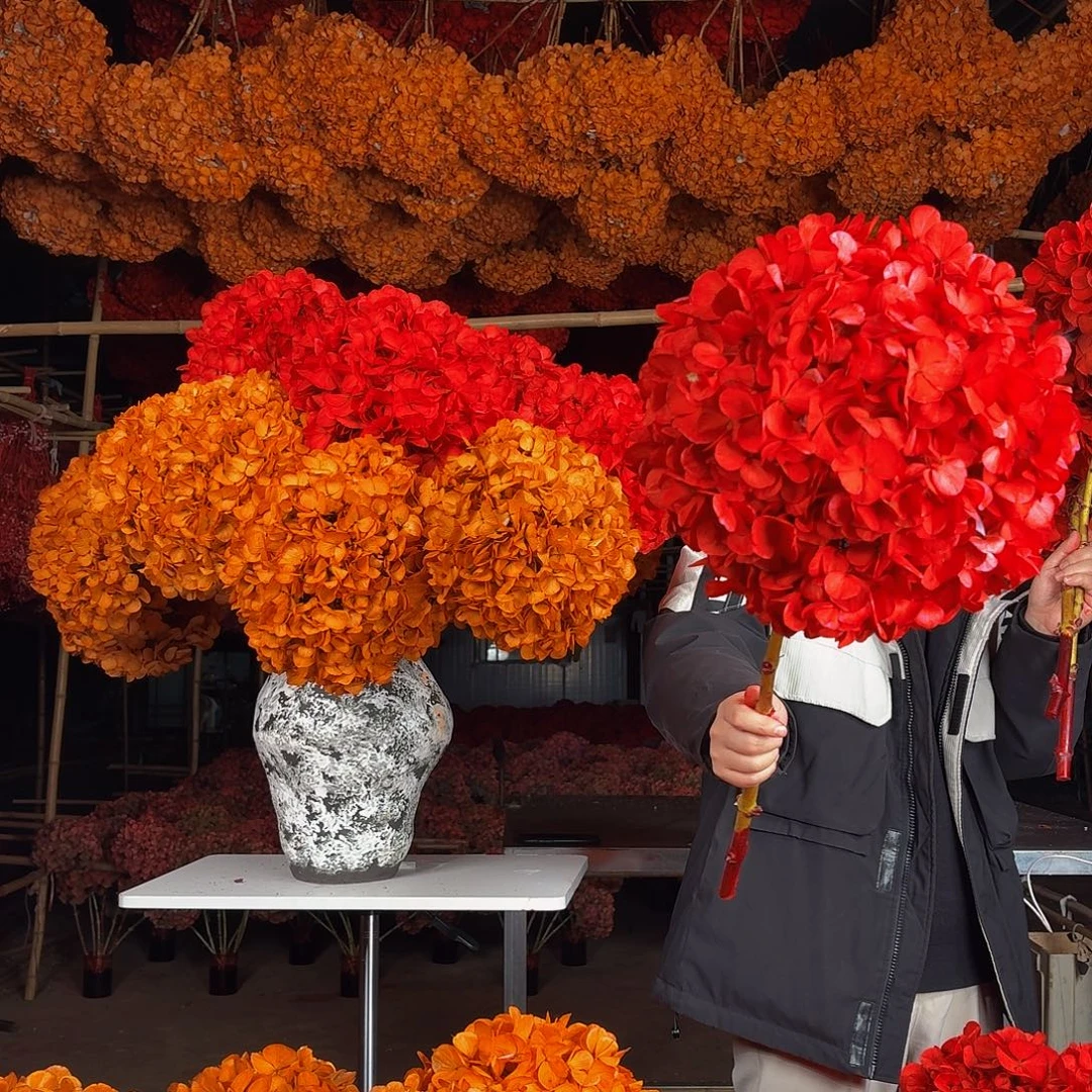 永生大叶绣球1枝 红