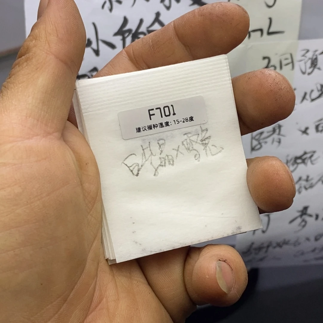 精品多肉杂交种子f701