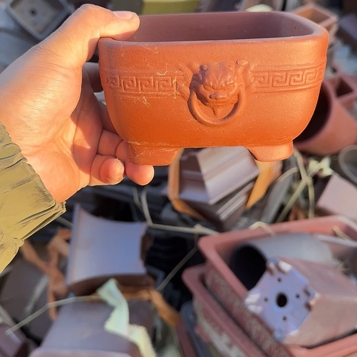 我也要努力去实现它呀嘻嘻