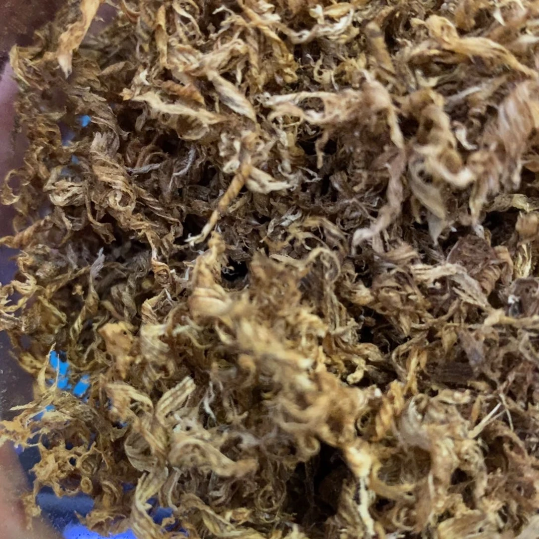 沉香沉香枕木*丝沉香黄棋勾丝100