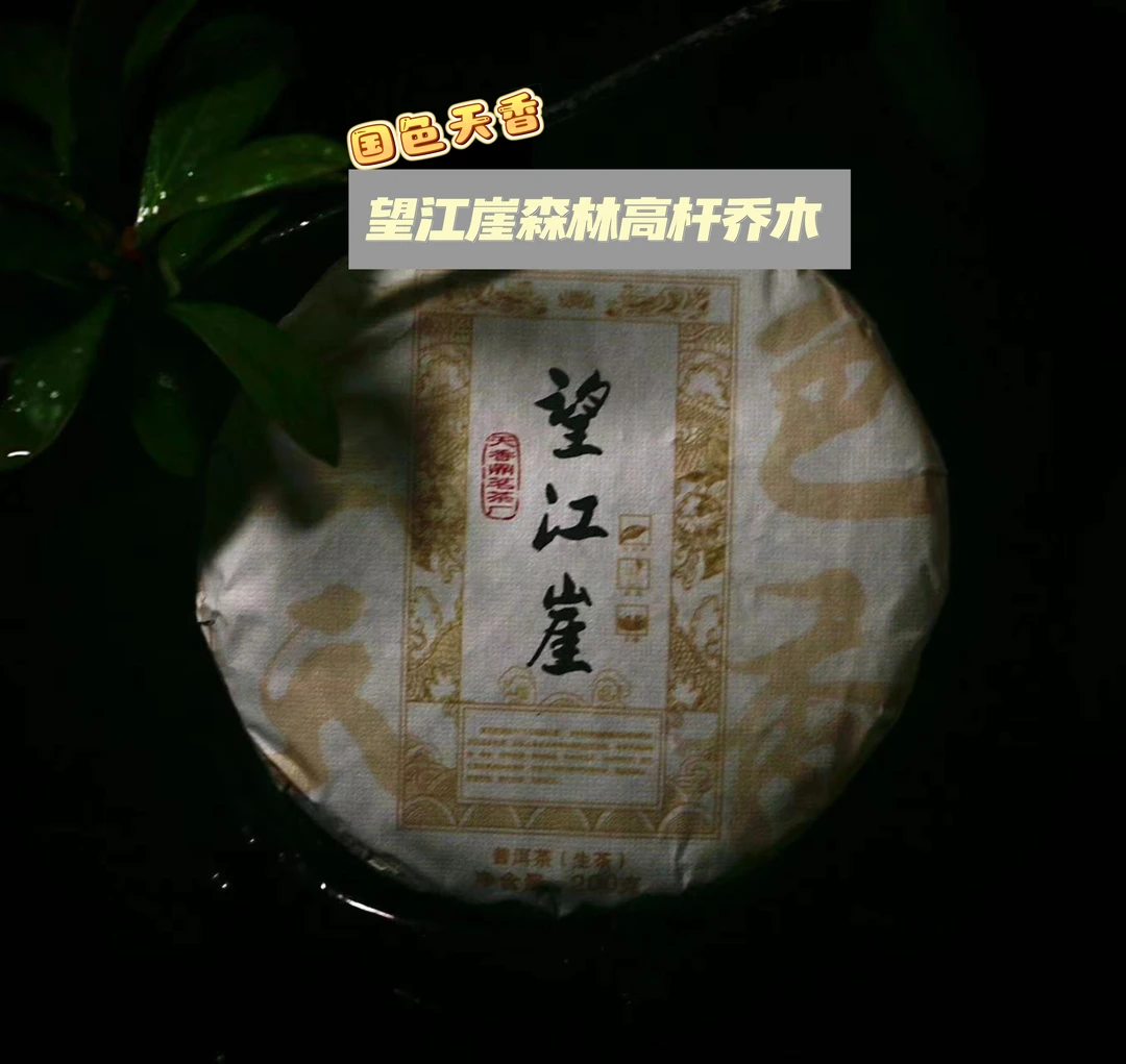 国色天香2023年望江崖云上茶园森林高杆普洱茶生茶
