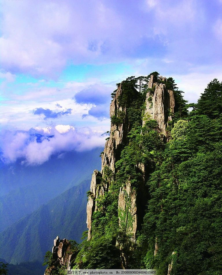 【一物一拍】四季  家庭园艺南方北方室内室外盆栽地栽庭院阳台种植