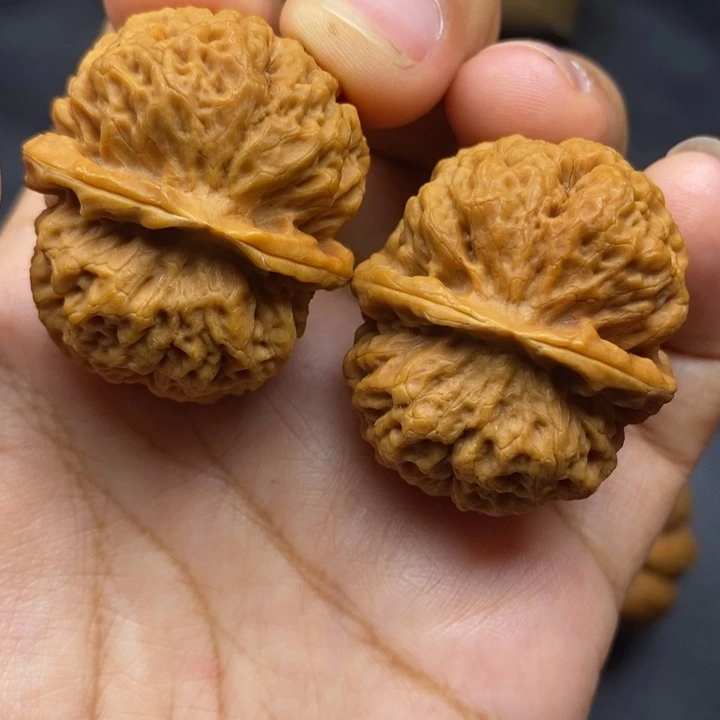 文玩核桃把件37尺蚂蚁元宝