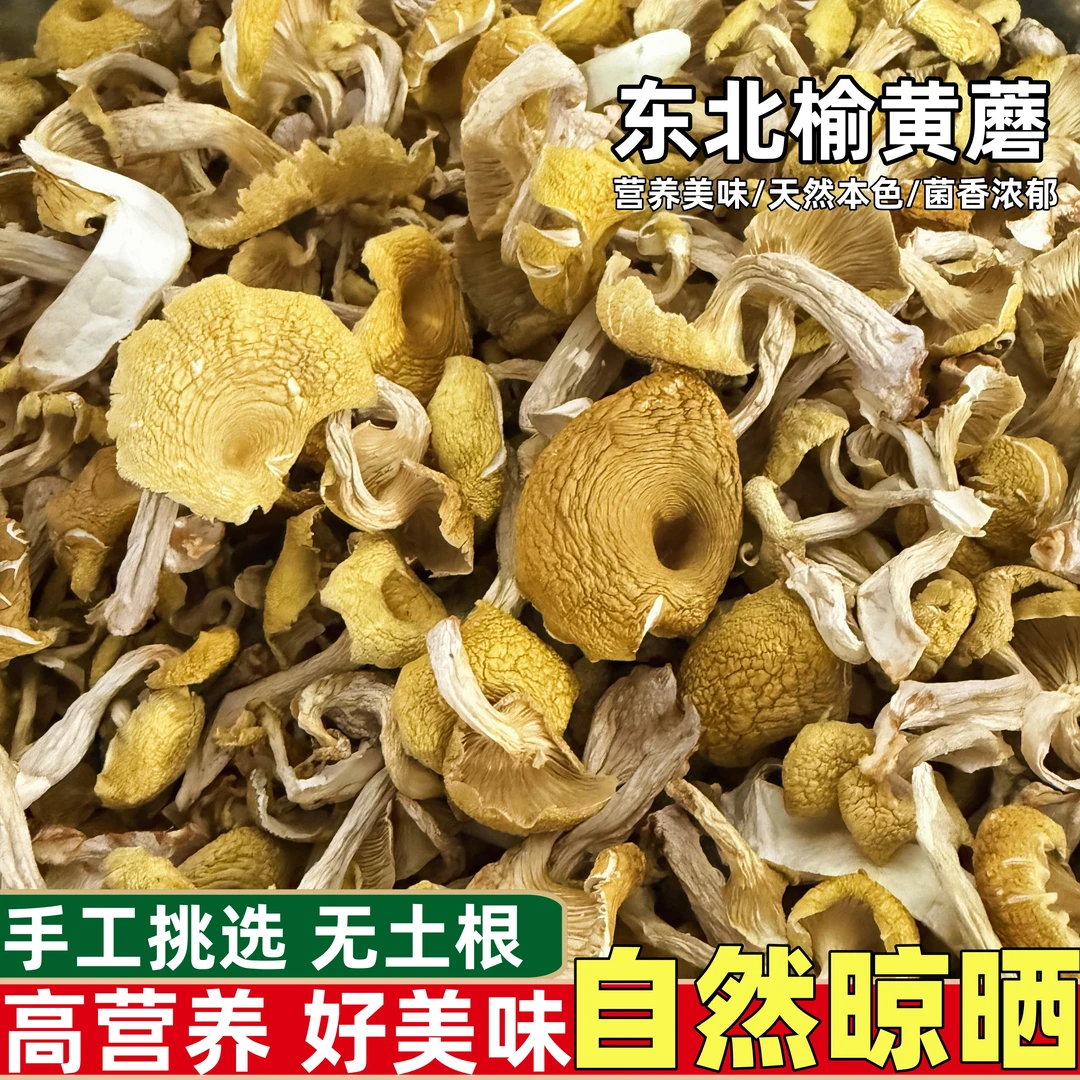 东北榆黄蘑250g