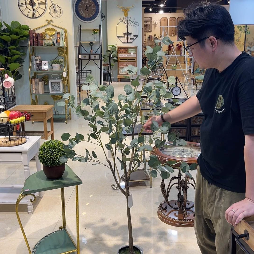 红陶红陶红陶红陶红陶