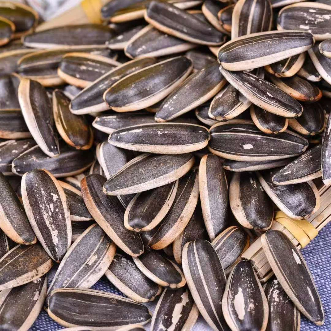 原味炒熟瓜子新鲜瓜子柴火炒制新货葵花籽向日葵内蒙古滋补经典方