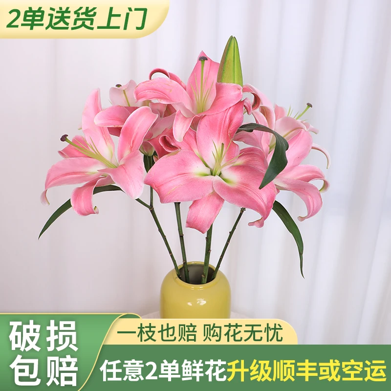 【源头优选老六】罗宾香水百合/元旦预热 任意两单鲜花升级快递