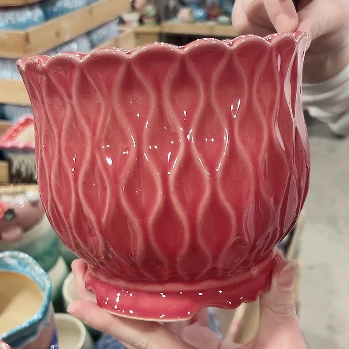 陶瓷陶瓷多肉植物花盆