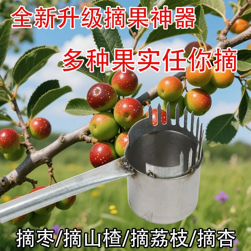 升级加厚2025新款酸枣不锈钢摘果器采果山枣柏树神器小枣工具扎手