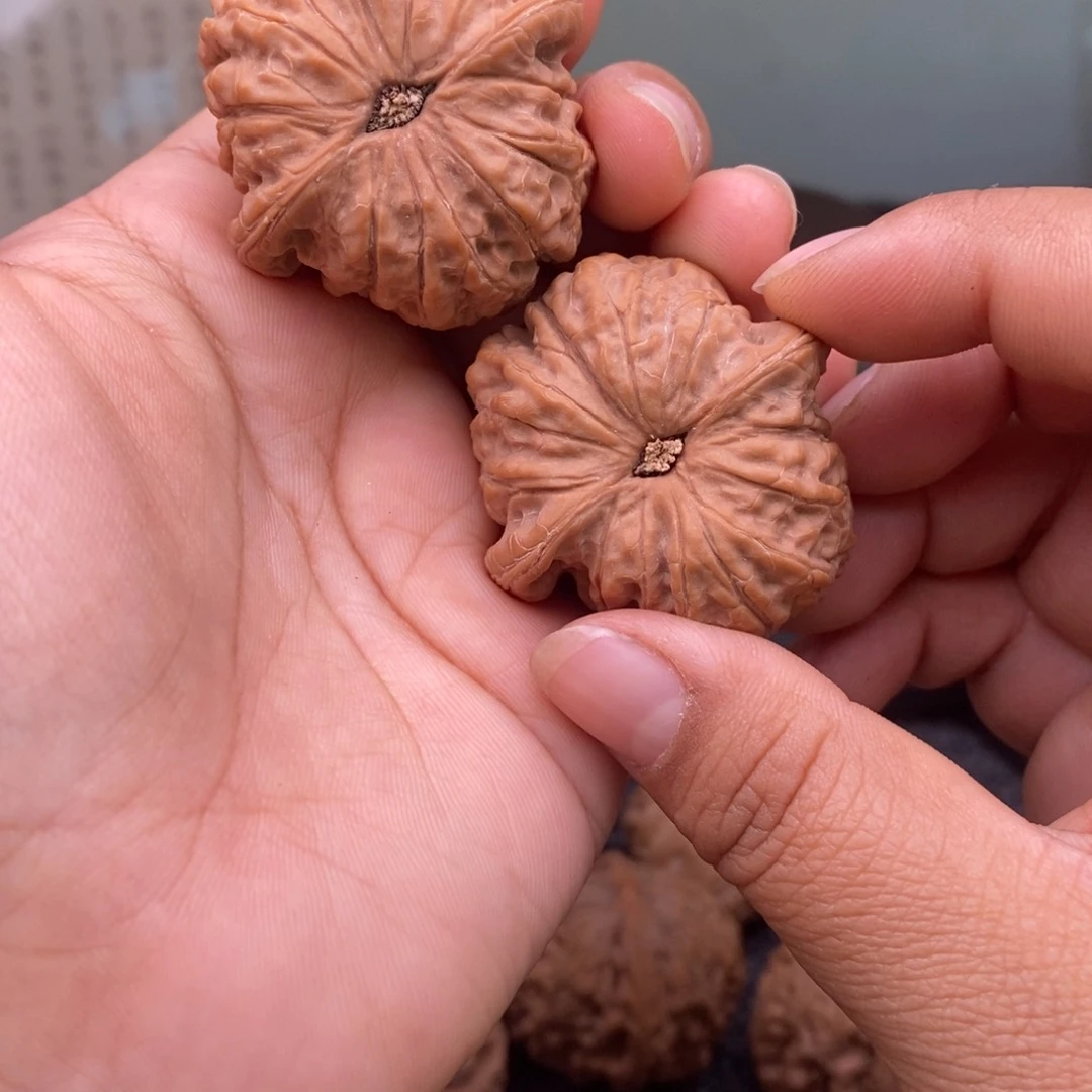 文玩核桃把件39.5血麒麟