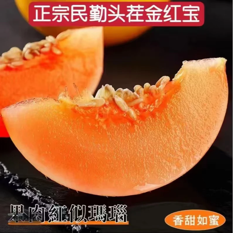 N甘肃民勤沙漠蜜瓜当季新鲜水果香甜多汁产地直发